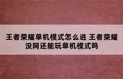 王者荣耀单机模式怎么进 王者荣耀没网还能玩单机模式吗